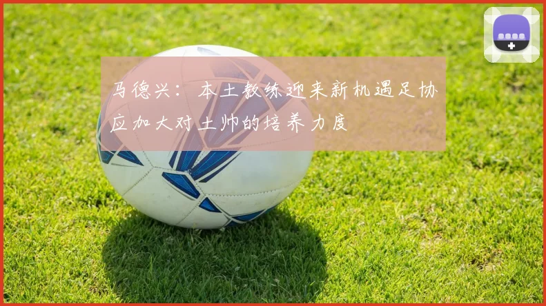 马德兴：本土教练迎来新机遇足协应加大对土帅的培养力度