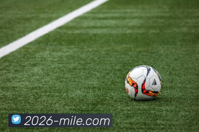 米乐体育平台生态图